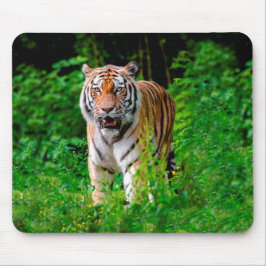 Mousepad Tigre selvagem na selva