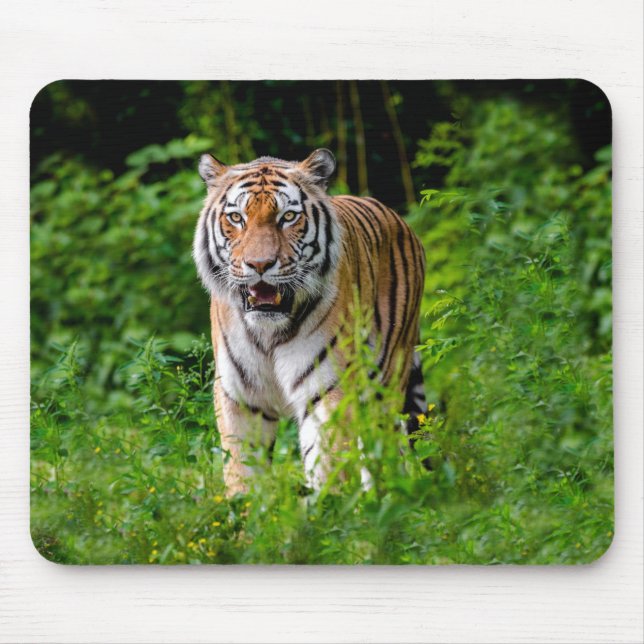 Mousepad Tigre selvagem na selva (Frente)