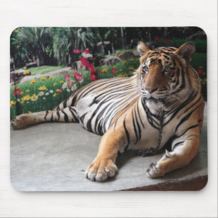 Mousepad Tigre Selvagem Personalizado