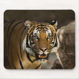 Mousepad Tigre Siberiano