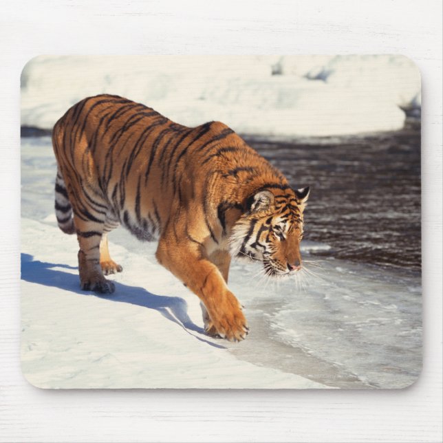 Mousepad Tigre siberiano (Frente)