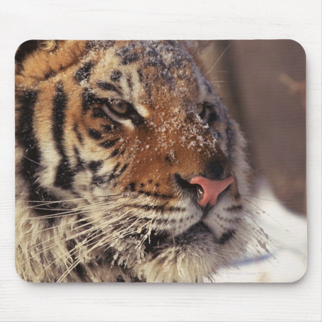 Mousepad Tigre siberiano (Frente)