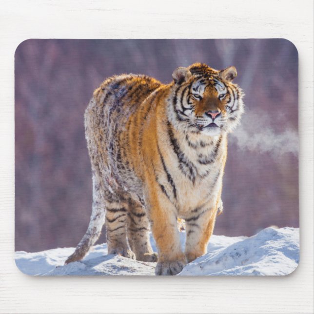 Mousepad Tigre siberiano na neve, China (Frente)
