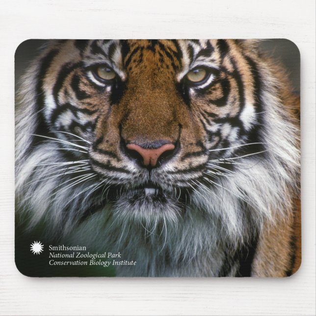 Mousepad Tigre Soyono de Smithsonian | Sumatran (Frente)