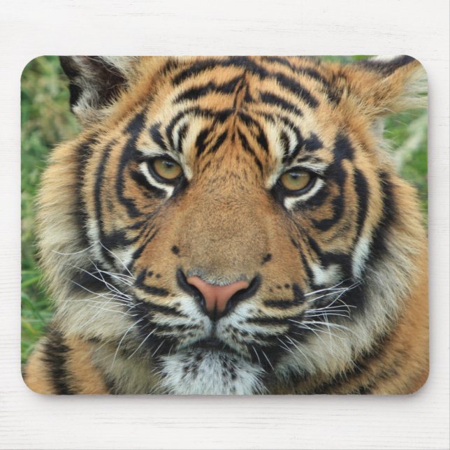 Mousepad Tigre Tapete de ratos (Frente)