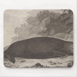Mousepad Tinta marítima, Colúmbia Britânica