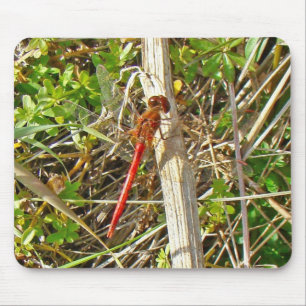 Mousepad Tiny Red Dragonfly em novembro
