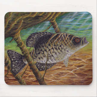 Mousepad tipo de peixe