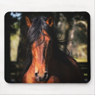 Mousepad Tiro principal de Indico VII