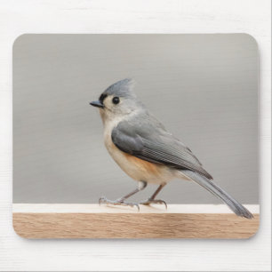 Mousepad Titmouse adornado