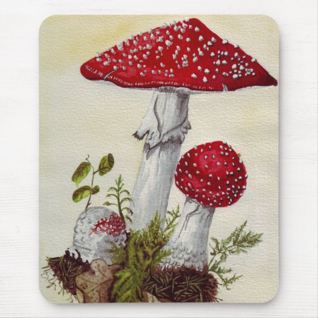 Mousepad Toadstool (Frente)