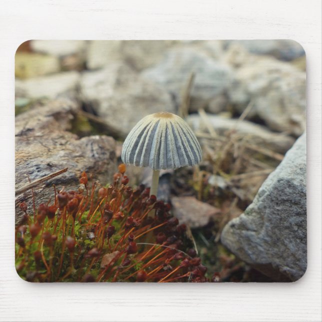 Mousepad Toadstool pequenina (Frente)