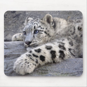 Mousepad Todos jogaram para fora Mousemat