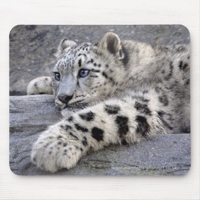 Mousepad Todos jogaram para fora Mousemat (Frente)