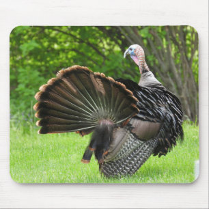 Mousepad Tom Turkey Feather Display