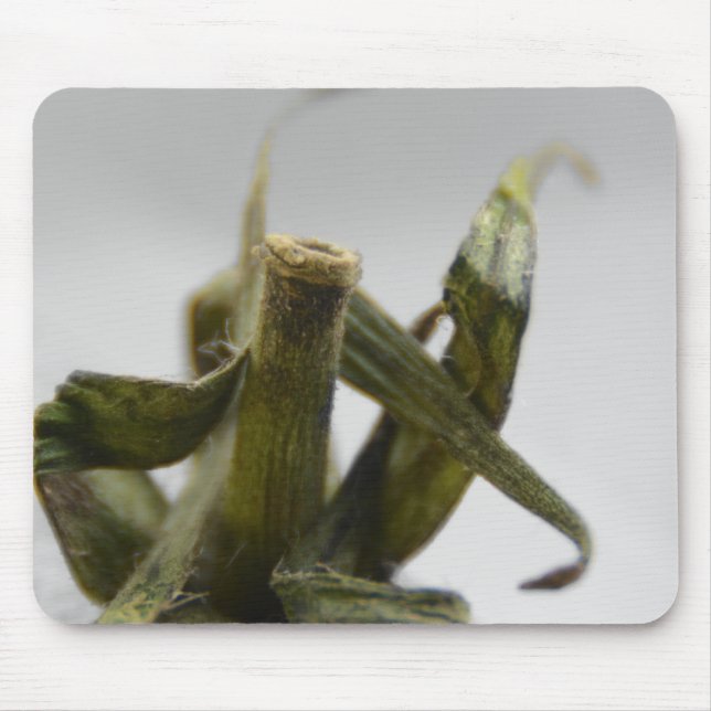 Mousepad Tomate (Frente)