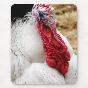Mousepad Tommy