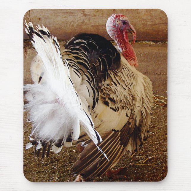 Mousepad Tommy (Frente)