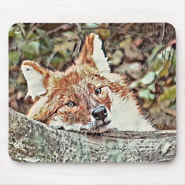 Mousepad Toony Fox (Frente)