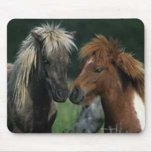 Mousepad Toque diminuto dos cavalos