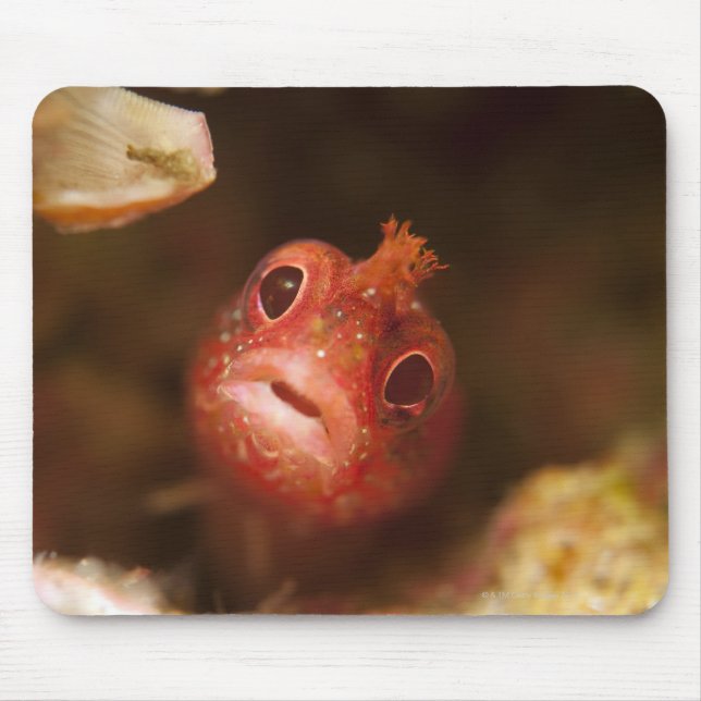 Mousepad Tóquio, Japão 2 (Frente)