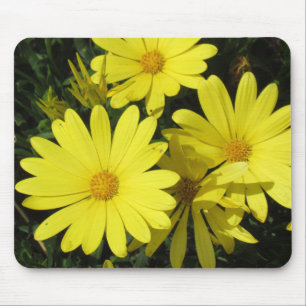 Mousepad - Torneiras amarelas