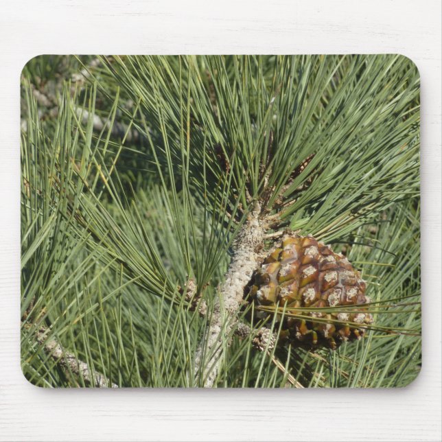 Mousepad Torrey Pine Closeup California Botanical (Frente)