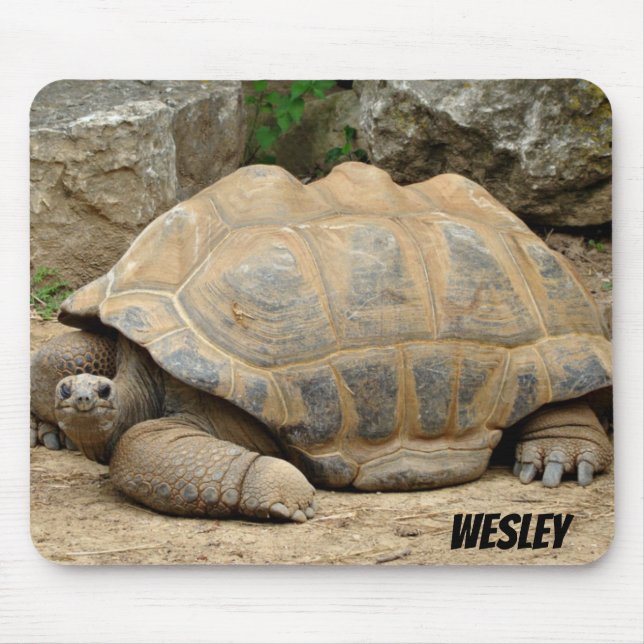 Mousepad Tortoise Sorridente (Frente)