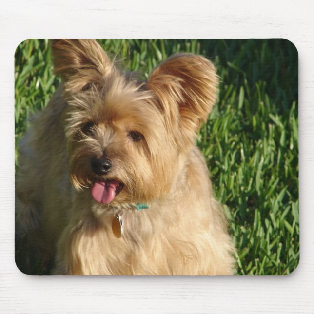 Mousepad Toto (Frente)