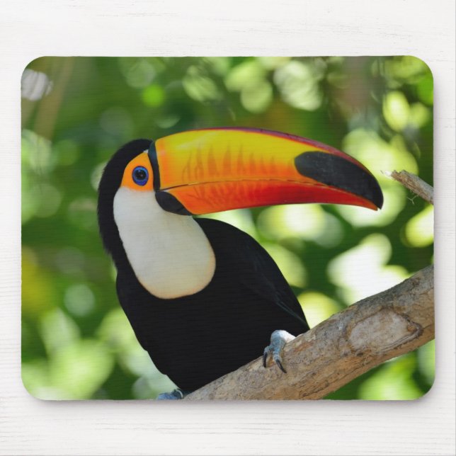 Mousepad Toucan (Frente)