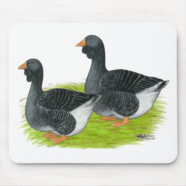 Mousepad Toulouse Dewlap Geese (Frente)