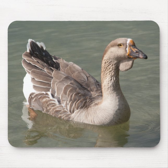 Mousepad Toulouse Goose (Frente)