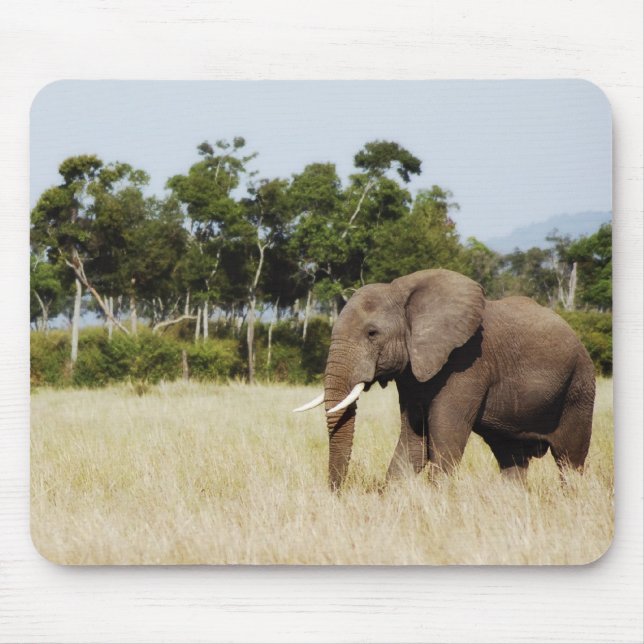 Mousepad Touro do elefante africano (Frente)