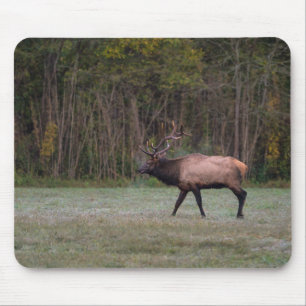 Mousepad Touro Elk Morning Walk