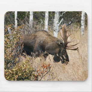Mousepad Touro Mose