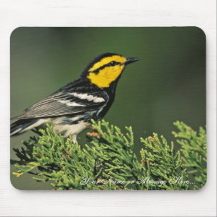 Mousepad Toutinegra do Ouro-Cheeked