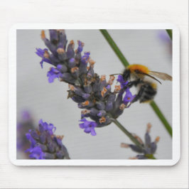 Mousepad Trabalhadores Maravilhosos da Natureza