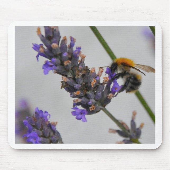 Mousepad Trabalhadores Maravilhosos da Natureza (Frente)