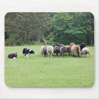 Mousepad Trabalho de border collie