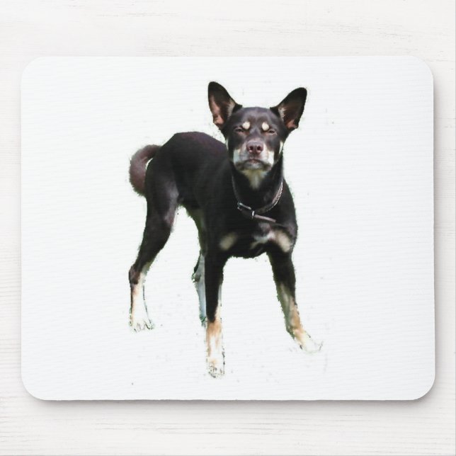Mousepad Trabalho dos Kelpies…! (Frente)