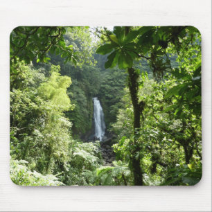 Mousepad Traffic Falls Tropical RainForest Fotografia