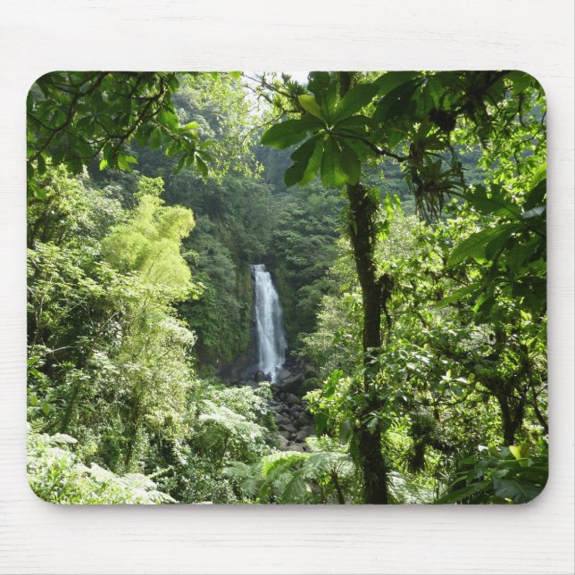 Mousepad Traffic Falls Tropical RainForest Fotografia (Frente)