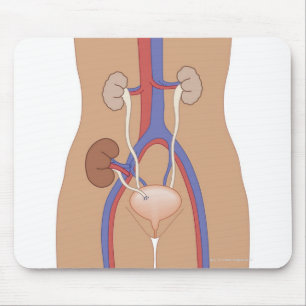 Mousepad Transplante renal