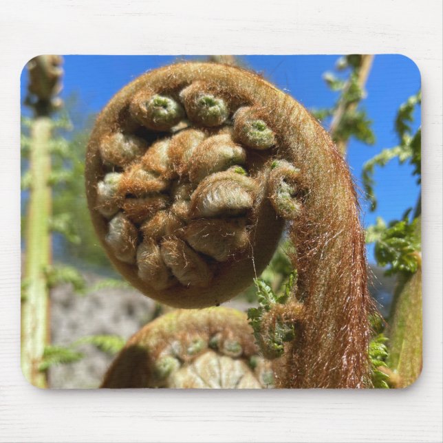 Mousepad Tree Fern Frond (Frente)