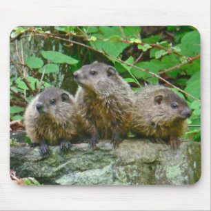 Mousepad Três bebê Groundhogs