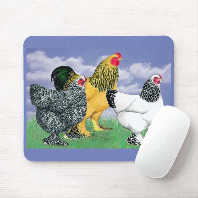 Mousepad Três Brahmas (Com mouse)