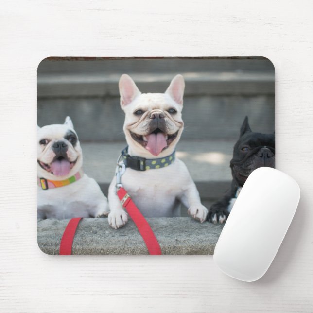 Mousepad Três Bulls Franceses (Com mouse)
