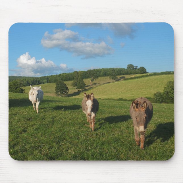Mousepad Três Burros em uma Fotografia de Campo (Frente)