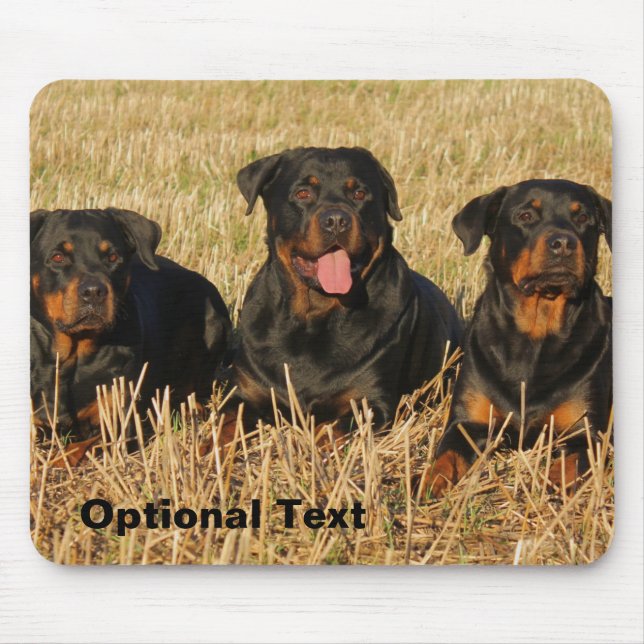 Mousepad Três Cães Rottweiler - Embalagem de Rotinas (Frente)