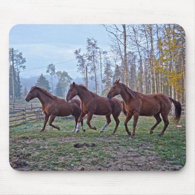 Mousepad Três Cavalos Movendo-Se Como Um Presente Fotográfi (Frente)